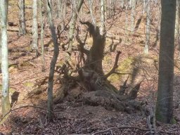Maerz-Wanderung_2025
